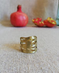 Anillo Rama